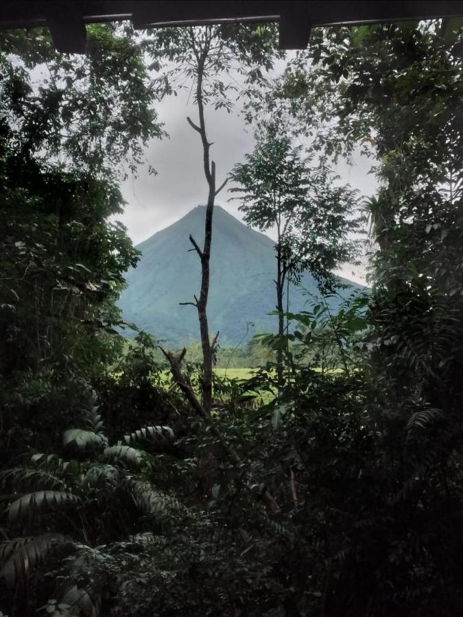La Fortuna Natural Green エクステリア 写真